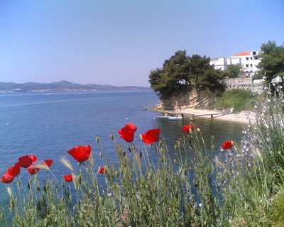 Appartamenti SEA STAR Zadar